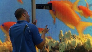 s largest video displays - Photo 2