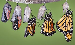 CU Blog - Transformations - Perfecting Our Core Competence - Photo 1